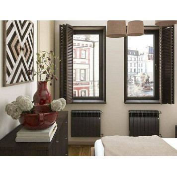 Радиатор Royal Thermo BiLiner 500 Noir Sable - 6 секц.-3