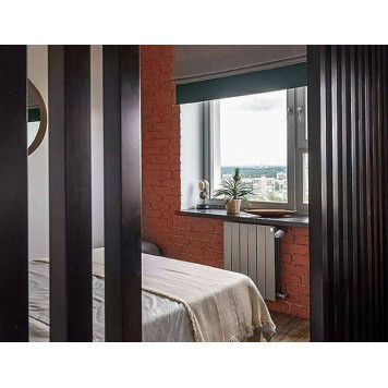 Радиатор Royal Thermo PianoForte 500 Silver Satin - 10 секц.-2