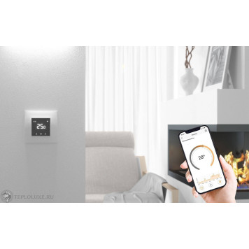Терморегулятор Теплолюкс EcoSmart 25-1