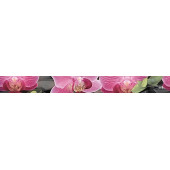 Porto Bambu and Orchid listwa Бордюр 6х60