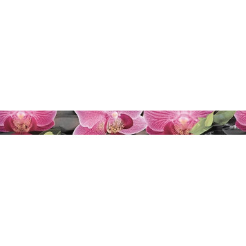 Porto Bambu and Orchid listwa Бордюр 6х60