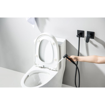 AQ1220MB ОБЕРОН комплект для гигиенического душа встроенный 2 отв. (смеситель + гигиеническая лейка + шланг), матовый черный AQ1220MB-3