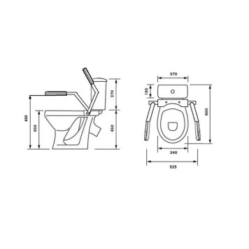 42301120005 Унитаз-компактПерсонаПремиум (с двойным опорным поручнем) подвод воды нижний, косой выпуск 42301120005-2