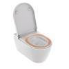 Duravit Starck F Plus Унитаз подвесной, безободковый, с сиденьем Sensowash, инсталляцией и клавишей с системой автосмыва, с покрытием Hygieneglaze, цвет: белый. 612000012002360, 2510092096, WD1039000060, WD5013012060