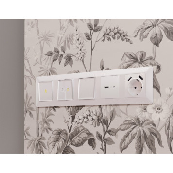 Накладка для розетки с заземлением и со шторками и 2хUSB type A Ambrella Volt Quant AP2090-1