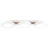 Накладной светильник Ambrella Light FL FL4877