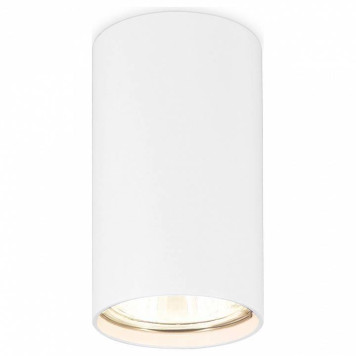 Накладной светильник Ambrella Light TN TN213108-1