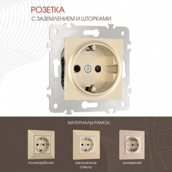 Розетка с заземлением и со шторкой, без рамки Arte Milano am-203 203.40-1.shampan-1