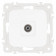 ТВ-розетка без рамки Arte Milano am-205 205.43-1.white