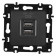 Розетка USB, без рамки Arte Milano am-217 217.46-1.black