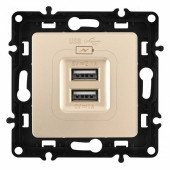Розетка USB, без рамки Arte Milano am-217 217.46-1.shampan