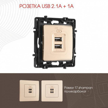 Розетка USB, без рамки Arte Milano am-217 217.46-1.shampan-1