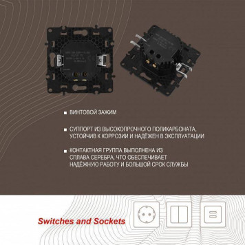 Розетка USB, без рамки Arte Milano am-217 217.46-1.shampan-3
