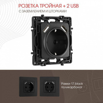 Розетка с заземлением и со шторкой и 2хUSB, без рамки Arte Milano am-217 217.47-1.black-1