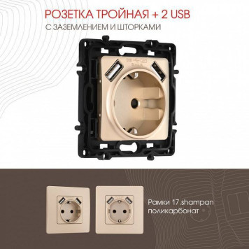 Розетка с заземлением и со шторкой и 2хUSB, без рамки Arte Milano am-217 217.47-1.shampan-1
