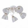 Потолочная люстра Arte Milano AMALFI-321395 321395/5A WH+FG