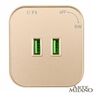 Розетка 2xUSB на треке Arte Milano Am-track-sockets 380022TS/USBx2 Gold-2