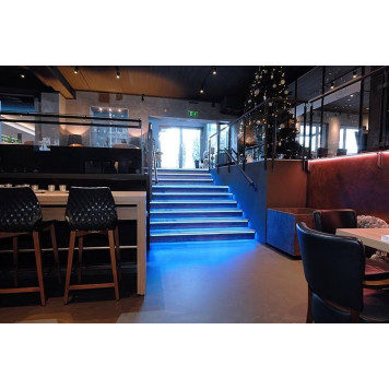 Лента светодиодная Deko-Light Decorative Light Flexible LED Stripe 840239-2