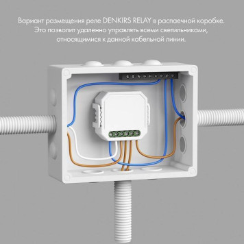 Контроллер-диммер Wi-Fi для смартфонов и планшетов Denkirs Relay RL1004-DM/1-1
