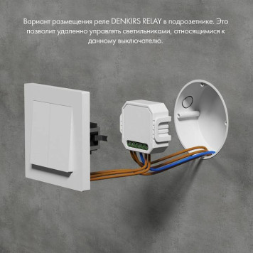 Контроллер-диммер Wi-Fi для смартфонов и планшетов Denkirs Relay RL1004-DM/1-2