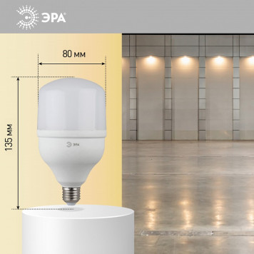 Лампа светодиодная Эра Стандарт LED POWER T100-30W-2700-E27-8