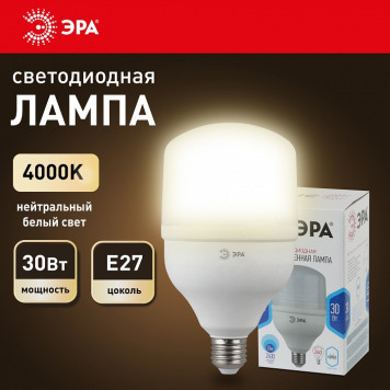 Лампа светодиодная Эра Стандарт LED POWER T100-30W-4000-E27-6