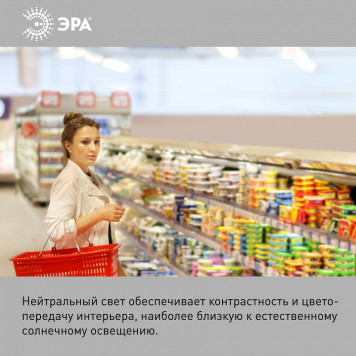 Лампа светодиодная Эра Стандарт LED POWER T100-30W-4000-E27-7