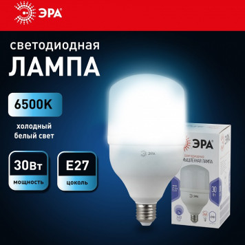 Лампа светодиодная Эра Стандарт LED POWER T100-30W-6500-E27-6