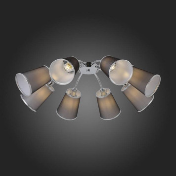 Потолочная люстра EVOLUCE Maleonte SLE103002-08-2