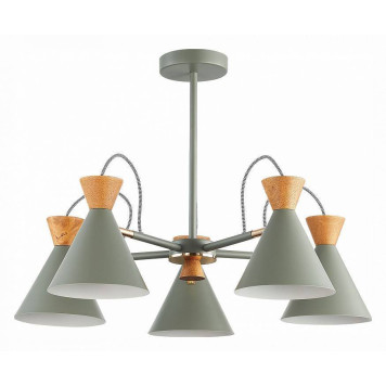 Люстра на штанге EVOLUCE Modica SLE125112-05