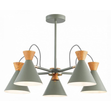 Люстра на штанге EVOLUCE Modica SLE125112-05-1