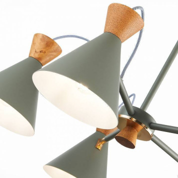 Люстра на штанге EVOLUCE Modica SLE125112-05-2