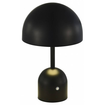 Настольная лампа декоративная EVOLUCE Eclat SLE1806-404-01-1