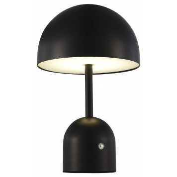 Настольная лампа декоративная EVOLUCE Eclat SLE1806-404-01-2