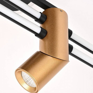 Потолочная люстра Favourite Cosmical 4070-4U-7