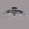 Потолочная люстра ILLUMICO IL0296-5CSQ-79 BK AB