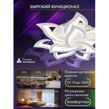 Потолочная люстра Natali Kovaltseva OLIMP LED SMART 84005-5
