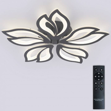 Потолочная люстра Natali Kovaltseva FORTUNA LED LAMPS 81107/5C-2