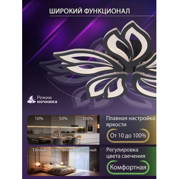 Потолочная люстра Natali Kovaltseva FORTUNA LED LAMPS 81107/5C-5