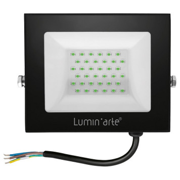 Настенно-потолочный прожектор Luminarte LFL LFL-50W/07-1
