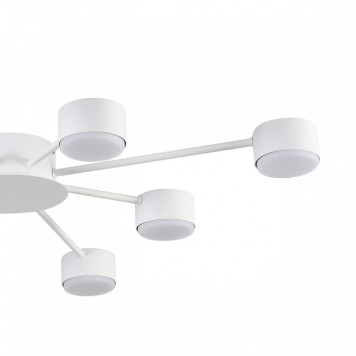 Потолочная люстра Lumion TORINA 8343/8C-5