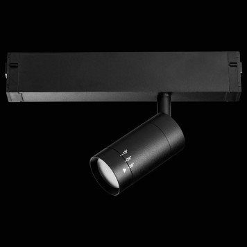 Светильник на штанге Lightstar Teta 205017R-2