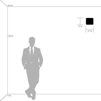 Накладной светильник Lightstar Muro 808620-1