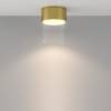 Накладной светильник Maytoni Glory C094CL-GX53-BS