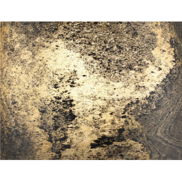 Бра Odeon Light Bergi 5064/1W-9