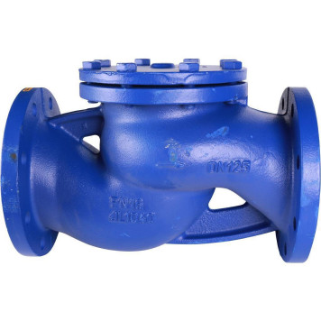 Клапан обратный Zetkama 287A125C31 из чугуна, Ду125, Ру16, Tmax=300°C-2