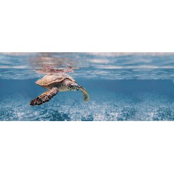 Ocean Turtle Декор 20x50