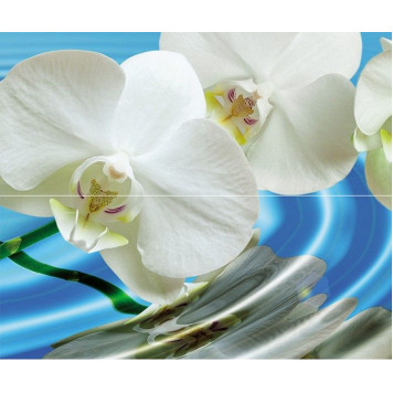 Water Garden А Панно (из 2пл) 60х50