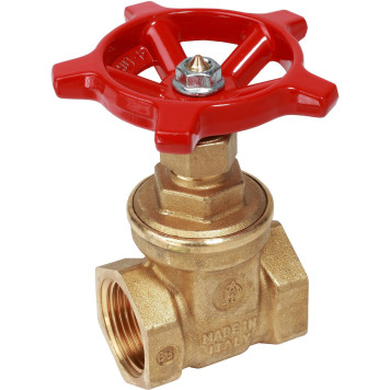 Задвижка Giacomini 1, R55Y005