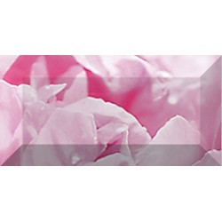 Peony Бордюр рельефный br1020D281-2 20х10